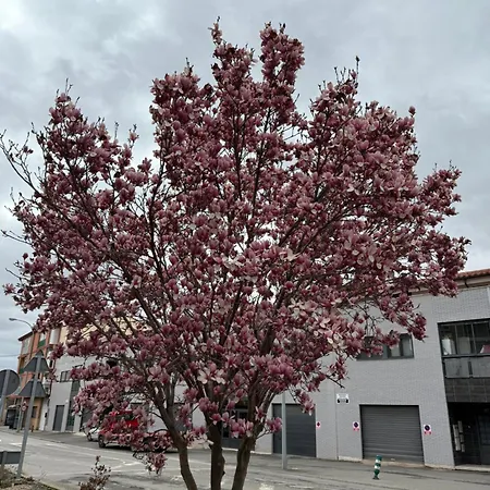 Loft El Carmen