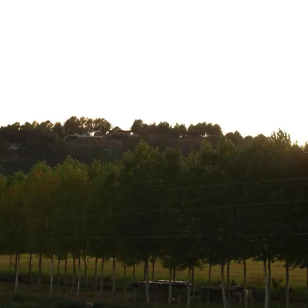 Loft El Carmen 아파트