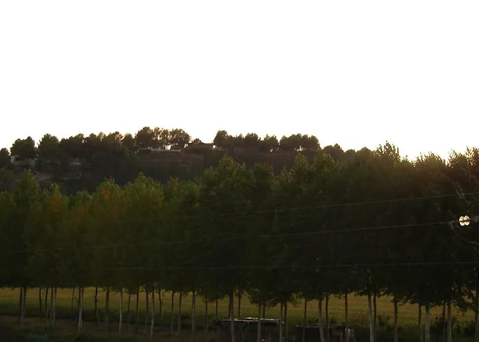 Loft El Carmen Apartamento